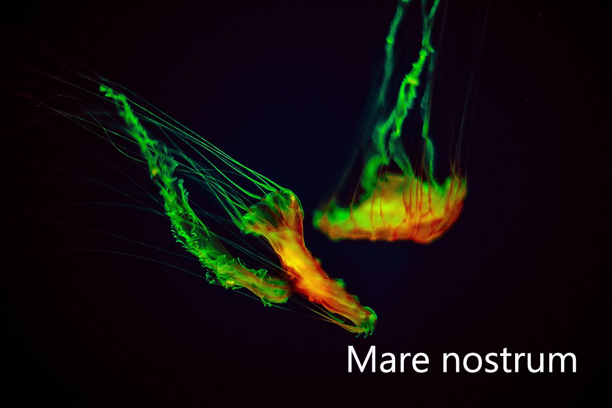 Photo de Morgana Fata: images de la série "Mare Nostrum"
